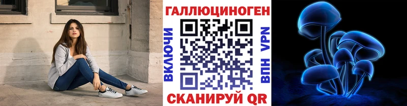 маркетплейс какой сайт  Городище  Галлюциногенные грибы Psilocybine cubensis 